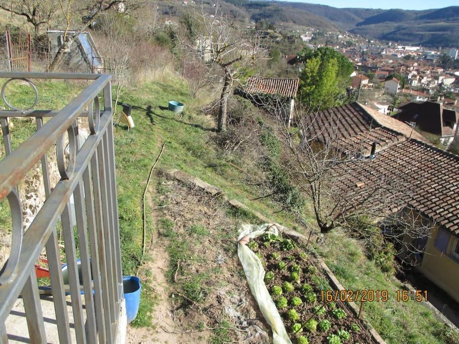 Maison De Vigne Renovee Saint-Affrique Exteriör bild